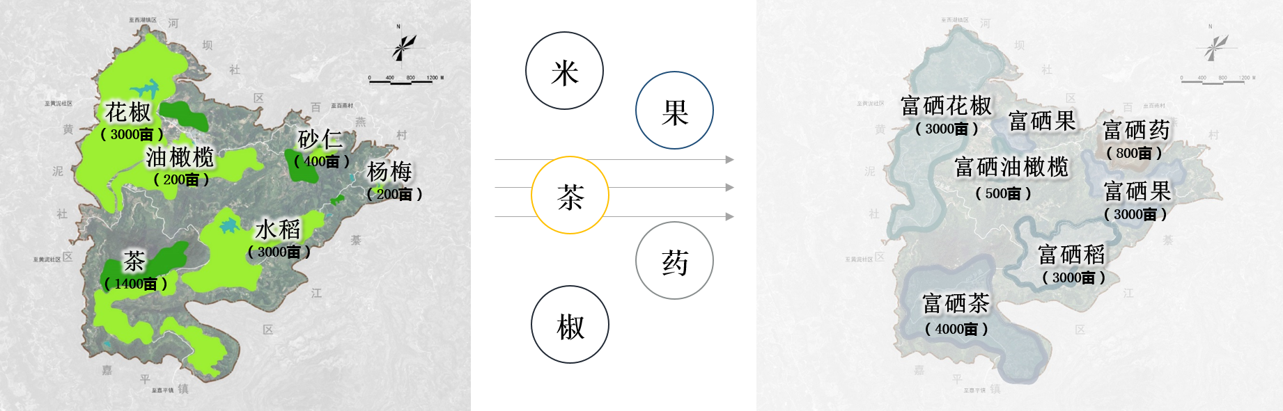 產(chǎn)業(yè)規(guī)?；?png