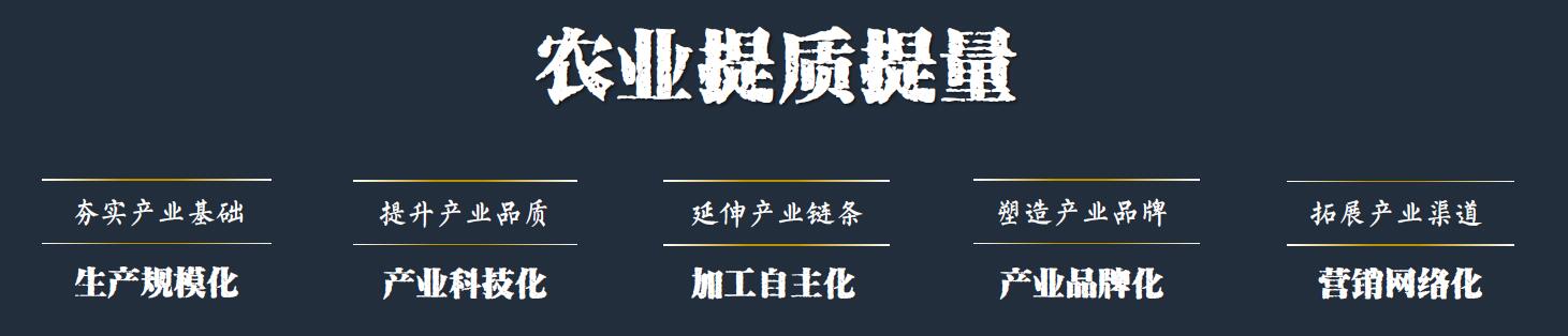 產(chǎn)業(yè)提質(zhì).jpg